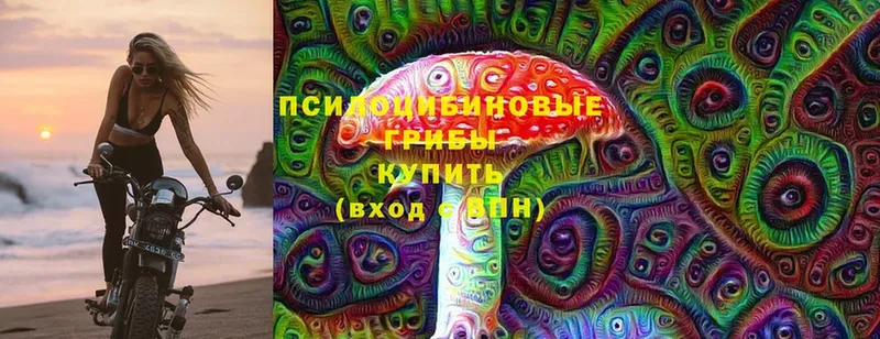 Псилоцибиновые грибы Cubensis  Оса 